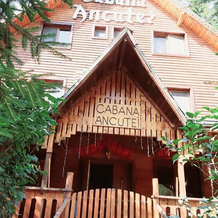 Cabana Ancutei Rucăr Exteriér fotografie