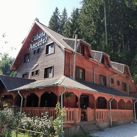 Cabana Ancutei Rucăr Exteriér fotografie