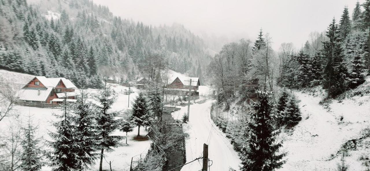 Cabana Ancutei Rucăr Exteriér fotografie