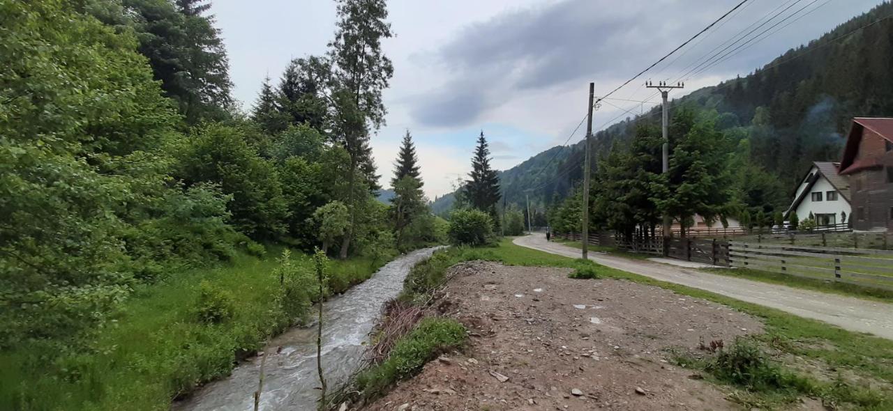 Cabana Ancutei Rucăr Exteriér fotografie