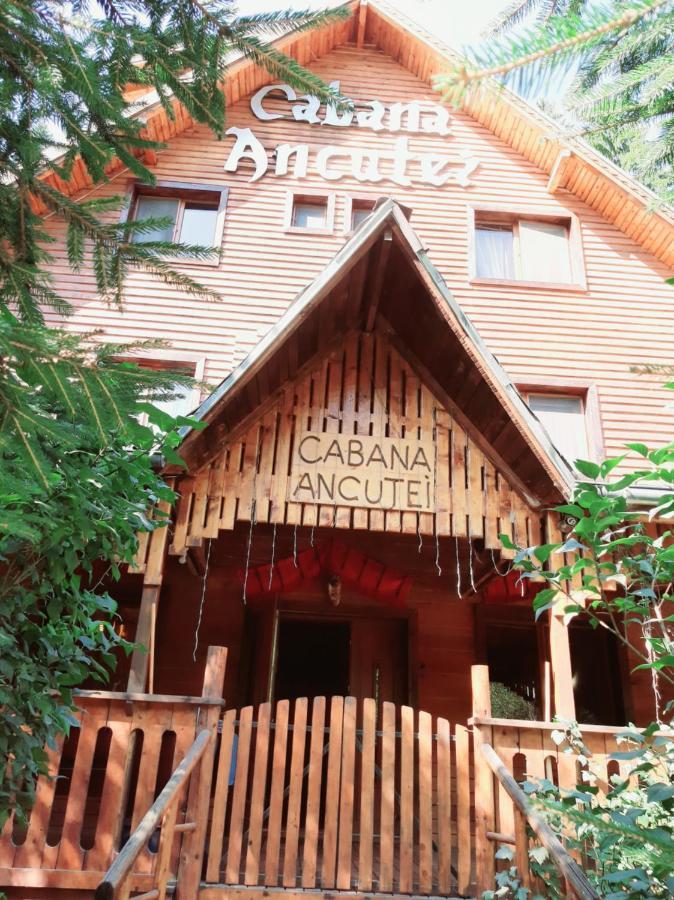 Cabana Ancutei Rucăr Exteriér fotografie