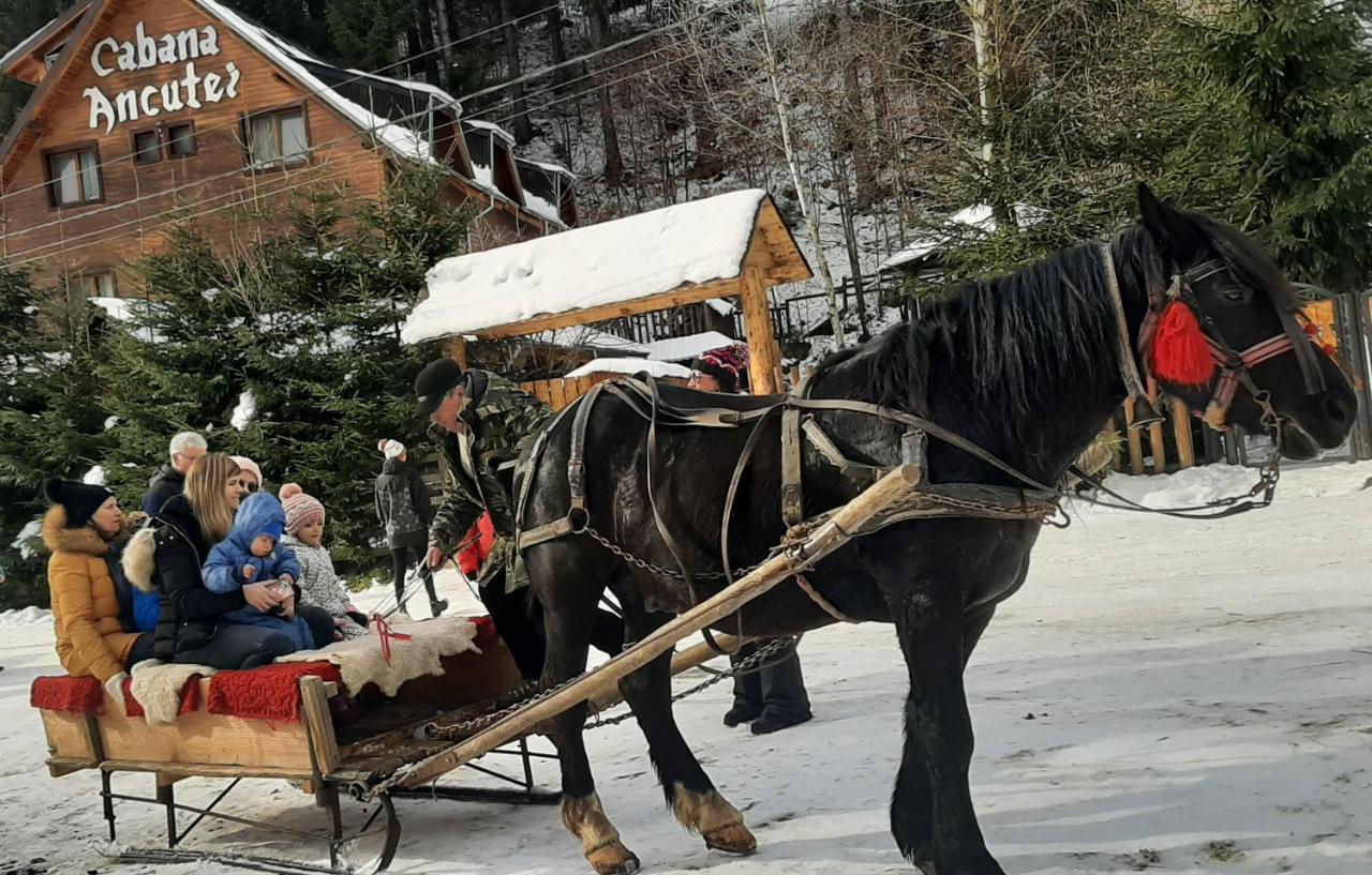 Cabana Ancutei Rucăr Exteriér fotografie