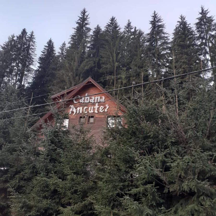 Cabana Ancutei Rucăr Exteriér fotografie