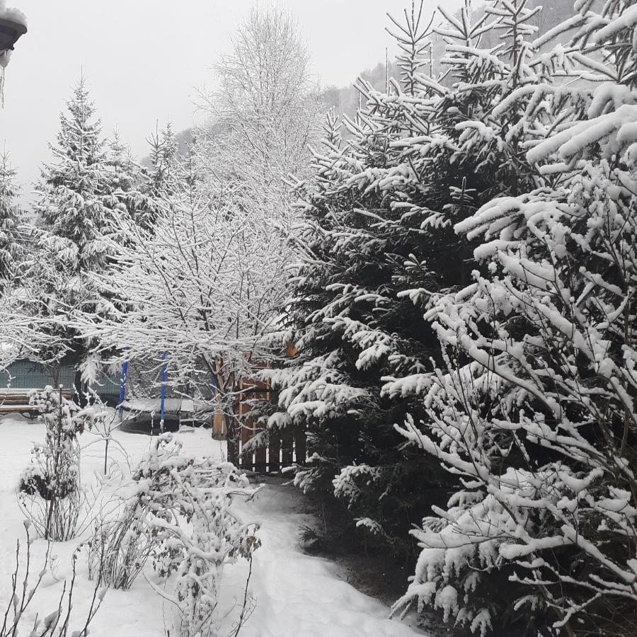 Cabana Ancutei Rucăr Exteriér fotografie