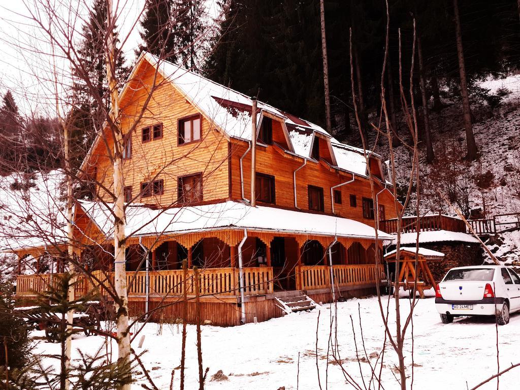 Cabana Ancutei Rucăr Exteriér fotografie