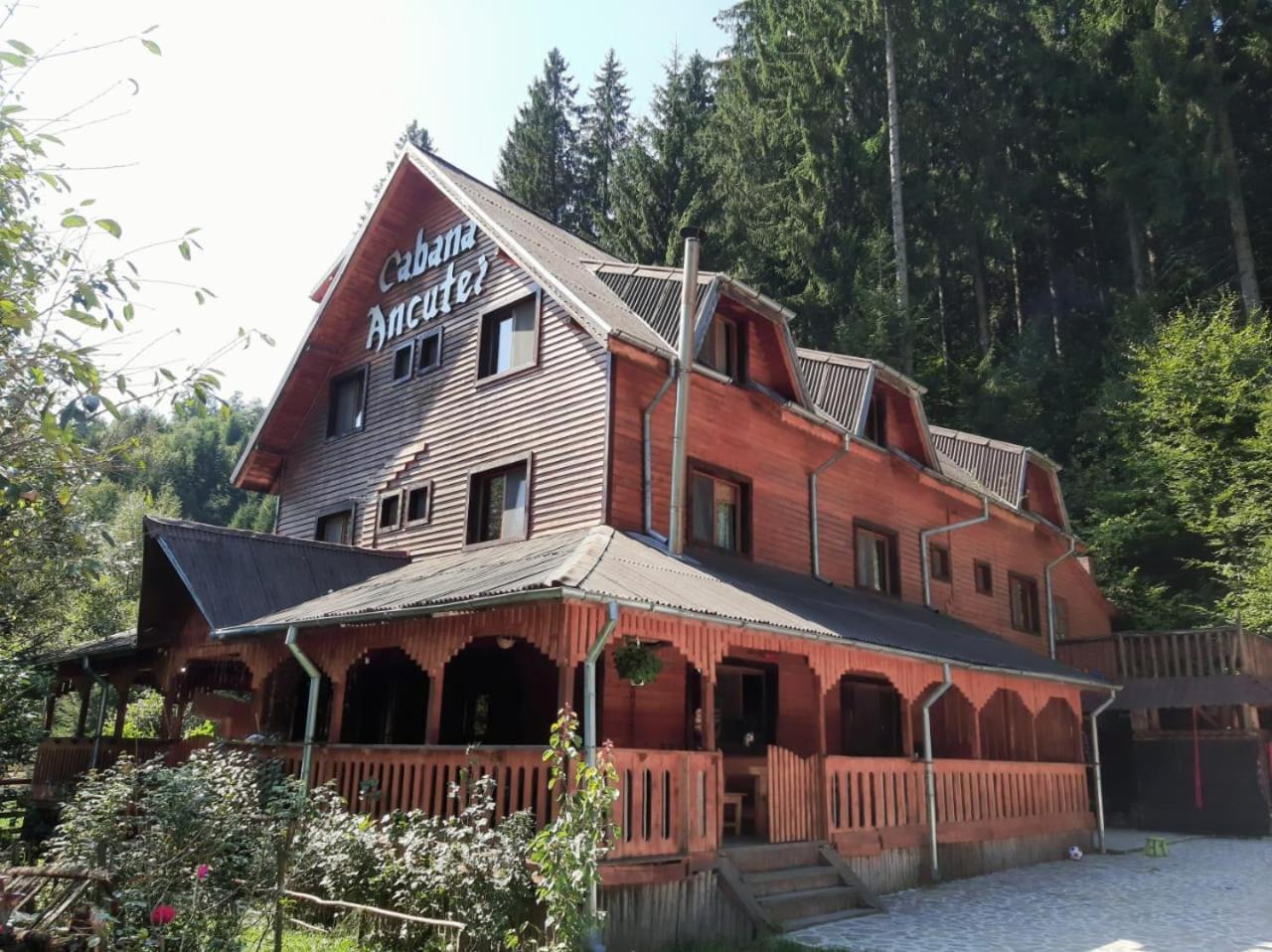Cabana Ancutei Rucăr Exteriér fotografie