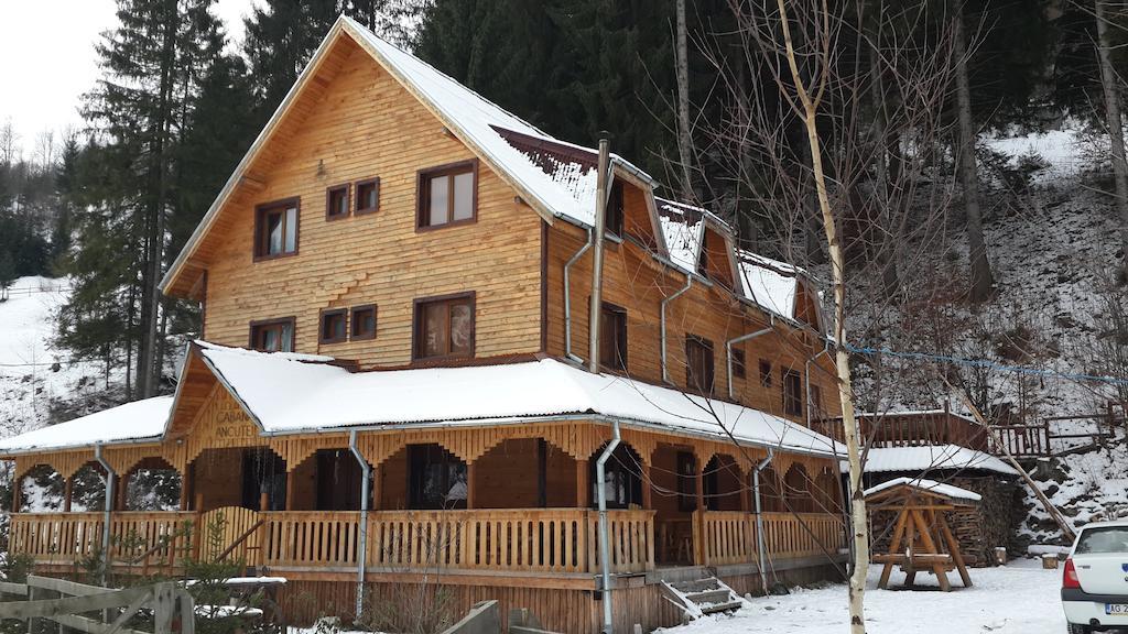 Cabana Ancutei Rucăr Exteriér fotografie