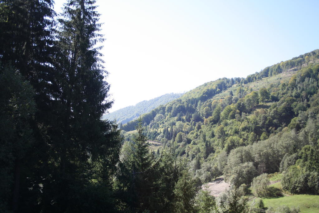 Cabana Ancutei Rucăr Exteriér fotografie
