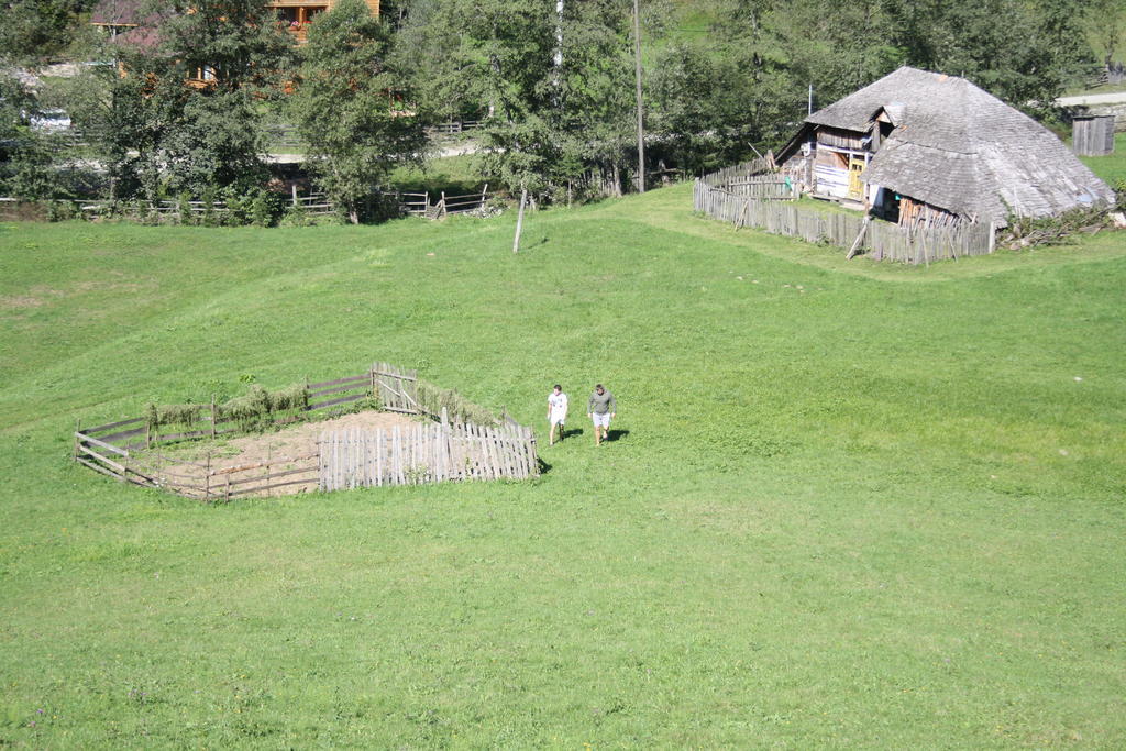 Cabana Ancutei Rucăr Exteriér fotografie