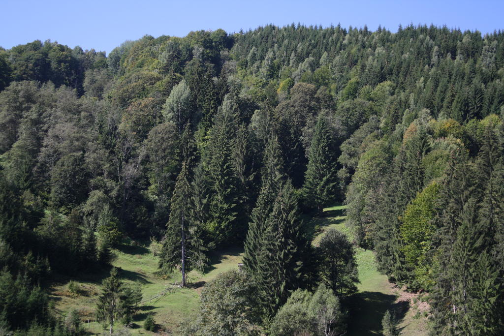 Cabana Ancutei Rucăr Exteriér fotografie