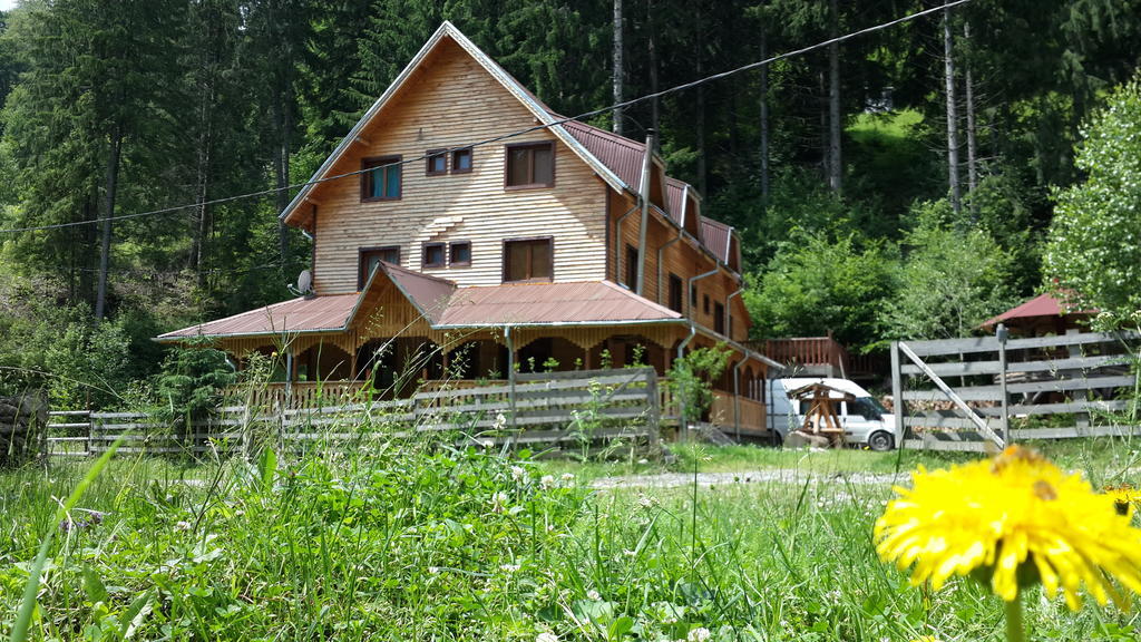 Cabana Ancutei Rucăr Exteriér fotografie