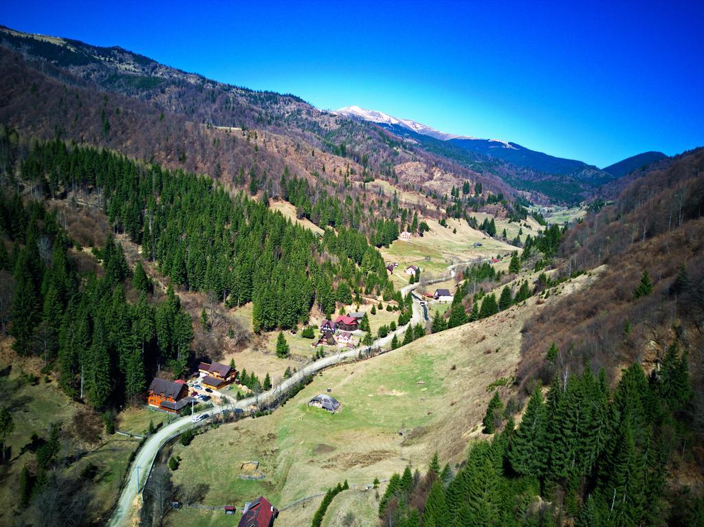 Cabana Ancutei Rucăr Exteriér fotografie