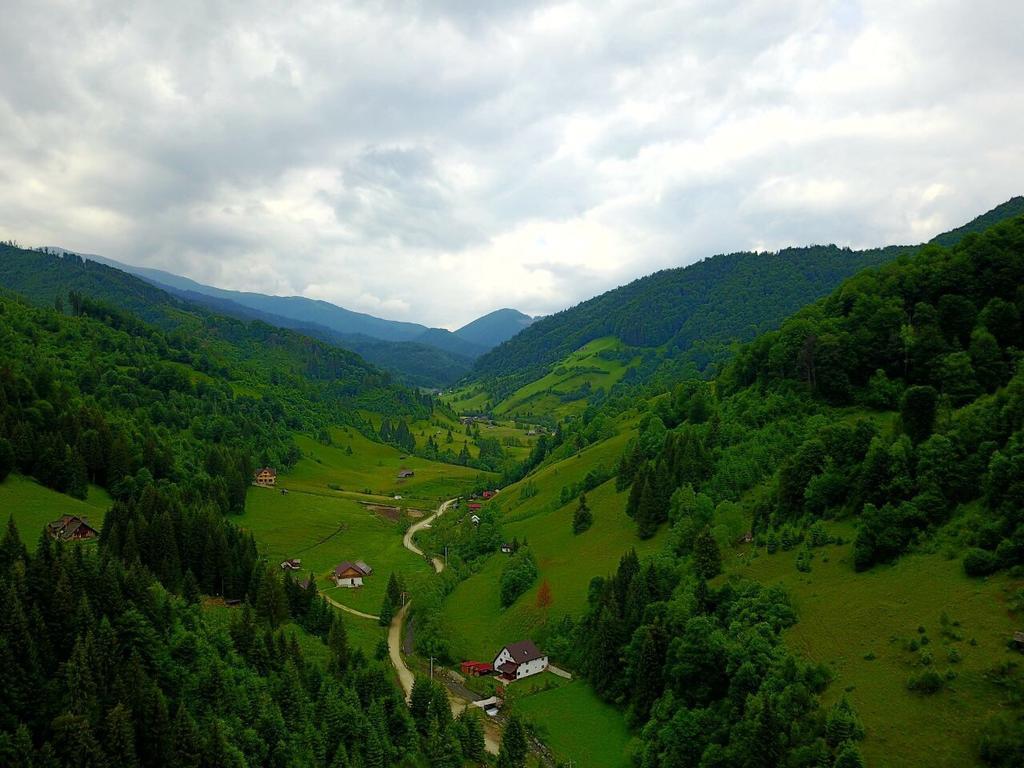Cabana Ancutei Rucăr Exteriér fotografie