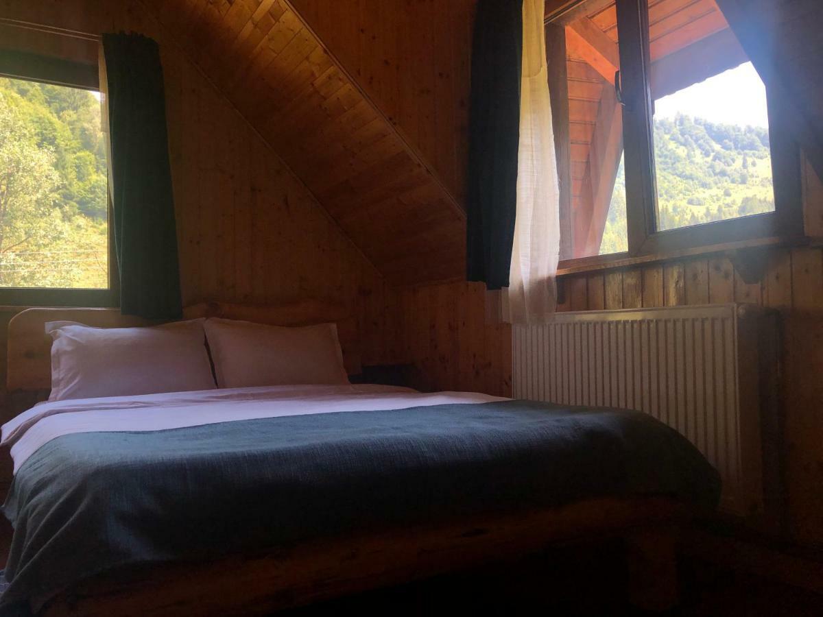 Cabana Ancutei Rucăr Exteriér fotografie